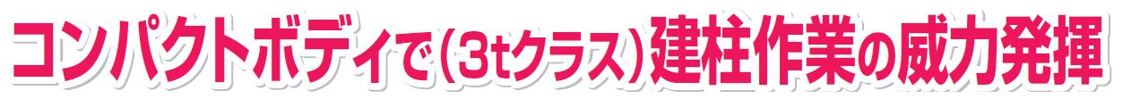 http://www.tekizai2.nishio-rent.co.jp/n-tokyo/product/%E5%BB%BA%E6%9F%B1%EF%BC%91.JPG